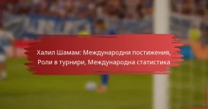 Халил Шамам: Международни постижения, Роли в турнири, Международна статистика