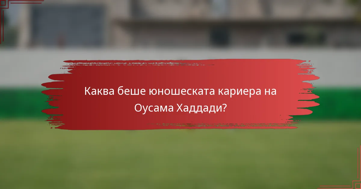 Каква беше юношеската кариера на Оусама Хаддади?